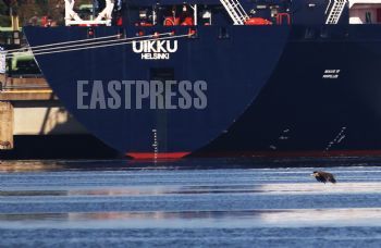 EA332514, Eastpress, Porvoo, Finland